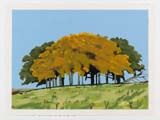 Copse (Autumn). 2020